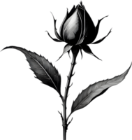 A single black Sumi-e rosebud with a sharp thorn. AI-Generated. png