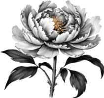 A black Sumi-e peony flower. AI-Generated. png