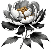 A black Sumi-e peony flower. AI-Generated. png