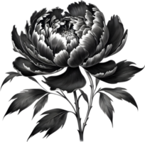 een zwart sumi-e pioen bloem. ai-gegenereerd. png