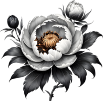 A black Sumi-e peony flower. AI-Generated. png