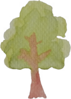 vattenfärg träd isolerat på vit. träd växt stroke vattenfärg hand dragen målning på grov textur papper. design för app, baner, förpackning, hemsida, social media, omslag element illustration png