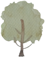 acquerello albero isolato su bianca. albero pianta ictus acquerello mano disegnato pittura su ruvido struttura carta. design per app, striscione, confezione, sito web, sociale media, coperture elemento illustrazione png