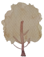 Aquarell Baum isoliert auf Weiß. Baum Pflanze Schlaganfall Aquarell Hand gezeichnet Gemälde auf Rau Textur Papier. Design zum Anwendung, Banner, Verpackung, Webseite, Sozial Medien, Abdeckungen Element Illustration png
