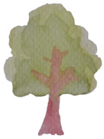 vattenfärg träd isolerat på vit. träd växt stroke vattenfärg hand dragen målning på grov textur papper. design för app, baner, förpackning, hemsida, social media, omslag element illustration png