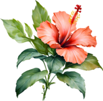 Colorful Sumi-e hibiscus flower in full bloom. AI-Generated. png