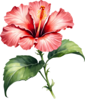 Colorful Sumi-e hibiscus flower in full bloom. AI-Generated. png