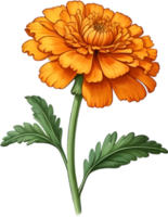 Vibrant flowers are rendered in the style of a vintage botanical illustration. AI-Generated. png