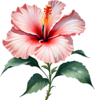 Colorful Sumi-e hibiscus flower in full bloom. AI-Generated. png