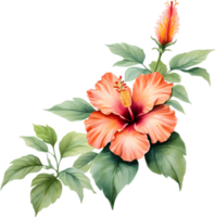 Colorful Sumi-e hibiscus flower in full bloom. AI-Generated. png