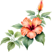 färgrik sumi-e hibiskus blomma i full blomma. ai-genererad. png