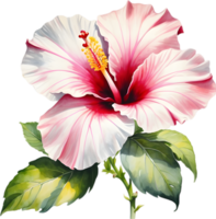 Colorful Sumi-e hibiscus flower in full bloom. AI-Generated. png