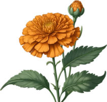 Vibrant flowers are rendered in the style of a vintage botanical illustration. AI-Generated. png