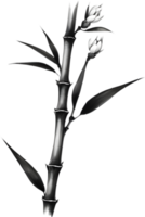 A black Sumi-e bamboo stalk. AI-Generated. png