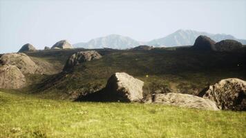 Green meadow on the background of the mountains video