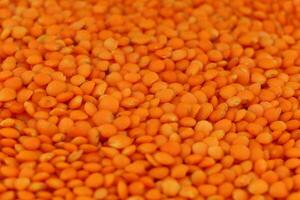 Red lentil groats close-up. photo