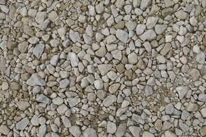 The background is white pebbles on the road photo