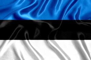 Flag of Estonia silk close-up photo