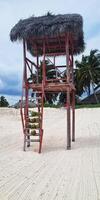 Coconuts on the steps of the watchtower of the beach. Tropical photo