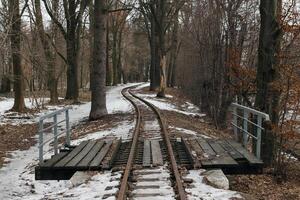 cubierto de nieve ferrocarril pista mediante invierno parque foto