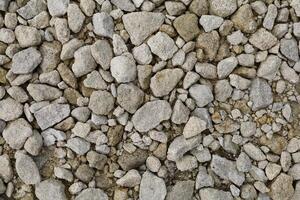 The background is white pebbles on the road photo