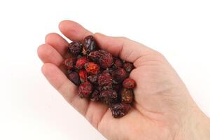 Dried rosehip in hand on white background isolate photo