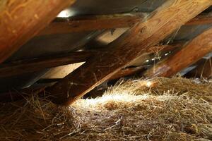 Old attic in the house photo