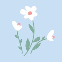 Flat design spring flower on blue background vector