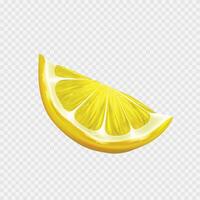 realistic fresh lemon illustration on white background vector