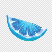 realistic blue slice of citruse on white background vector