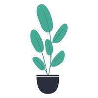 organic flat houseplant on white background vector