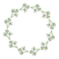 Hand drawn flowers wreath frame on white background vector