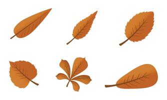 flat design yellow leaves pack on white background vector