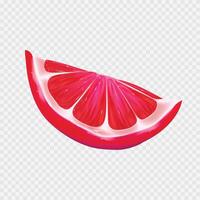 realistic red slice of citruse on white background vector