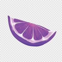 realistic purple slice of citruse on white background vector