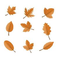 Flat design yellow leaves pack on white vector