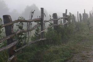 Mysterious Rustic Fence in Foggy Setting photo