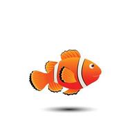 clownfish simple illustration vector