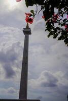 central Jacarta, enero 30, 2024 - el rosado flores Mira hermosa en contra el fondo de el indonesio nacional Monumento. foto