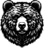 Head Bear roar vector