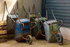 wheelbarrows in a backyard in spring photo