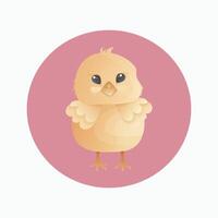 Cute Baby Chicken on white background. Illustration for poster, banner, gift cards. vector