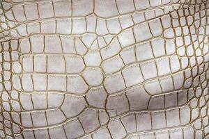 White crocodile or aligator leather texture. Abstract hide background. photo