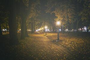 noche parque en otoño con caído amarillo hojas.ciudad noche parque en dorado otoño con linternas, caído amarillo hojas y arce arboles Clásico película estético. foto