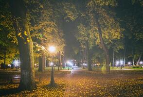 noche parque en otoño con caído amarillo hojas.ciudad noche parque en dorado otoño con linternas, caído amarillo hojas y arce arboles Clásico película estético. foto