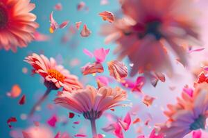 Abstract explosion of many colorful flowers and petals on a uniform background. photo