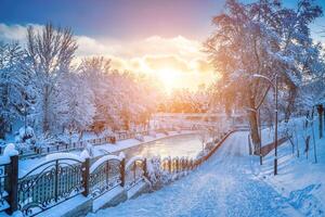 Sunset or dawn on a canal with non-freezing water on a cold winter day. photo