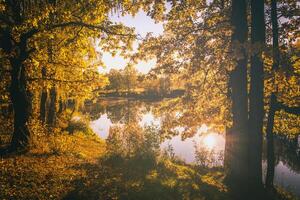 Sunrise near the pond with fog above it and oak with yellow leaves. Vintage film aesthetic. photo