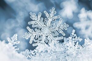 A snowflake under a microscope in the shape of a six-pointed star. photo