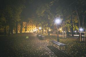 noche parque en otoño con caído amarillo hojas.ciudad noche parque en dorado otoño con linternas, caído amarillo hojas y arce arboles Clásico película estético. foto